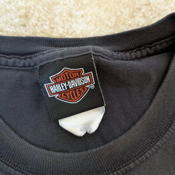 Vintage Distressed HARLEY DAVIDSON Brotherhood Robin Hood Motorcycle Shirt L - Picture 6 of 6